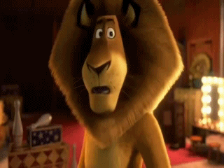 Вот это прикол! Зебра танцует hip-hop