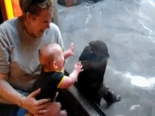 Ох это чертово стекло!