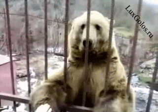 Ну вообще уже засмущали меня