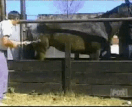 Тхэквондо. удар твит-хурио-чаги