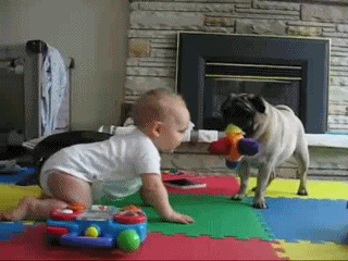 Прикол! Собака учит малыша ползать