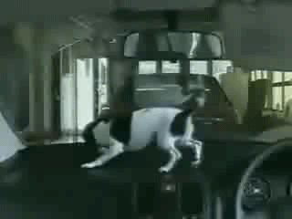 Кручусь, верчусь, а поймать не как не могу